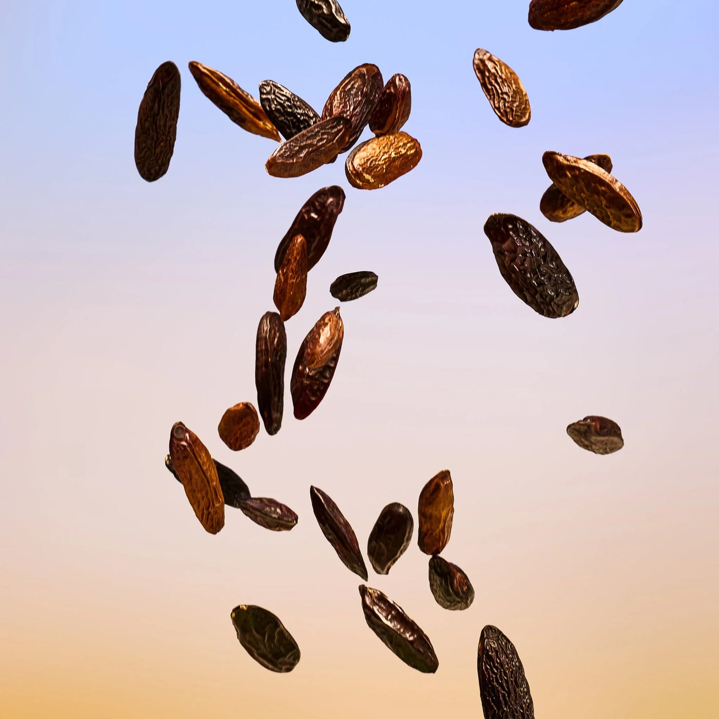 Tender Tonka Fragrance Mist